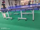双鱼冠军乒乓球桌可折叠乒乓球台室内家用乒乓球球桌专业训练乒乓球案子 GJ007  蓝面22MM可折叠 实拍图