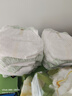 babycare金山茶花拉拉裤XL34片(12-17kg)婴儿尿不湿超薄透气新生柔花苞裤 实拍图