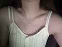 Cindy Kelly高级感精致项链女实用轻奢走心锁骨链生日母亲节礼物实用送妈妈 一颗钛金小钻【送老婆女友实用高档】 实拍图