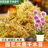 德沃多水苔约12L(特级)营养土爬宠乌龟冬眠蝴蝶兰君子兰花苔藓种植盆栽 实拍图