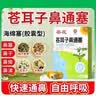葵花苍耳子鼻塞通鼻神器鼻炎海绵塞中药鼻炎专用鼻塞海绵塞通鼻舒鼻贴 【5盒常备优惠装】葵花鼻炎海绵塞中药鼻塞通鼻舒鼻 实拍图