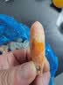 海宏盈 北极虾头籽腹籽北极甜虾带籽冰虾大虾海鲜虾类生鲜 新货头籽90-120规格 3斤(净重)  实拍图