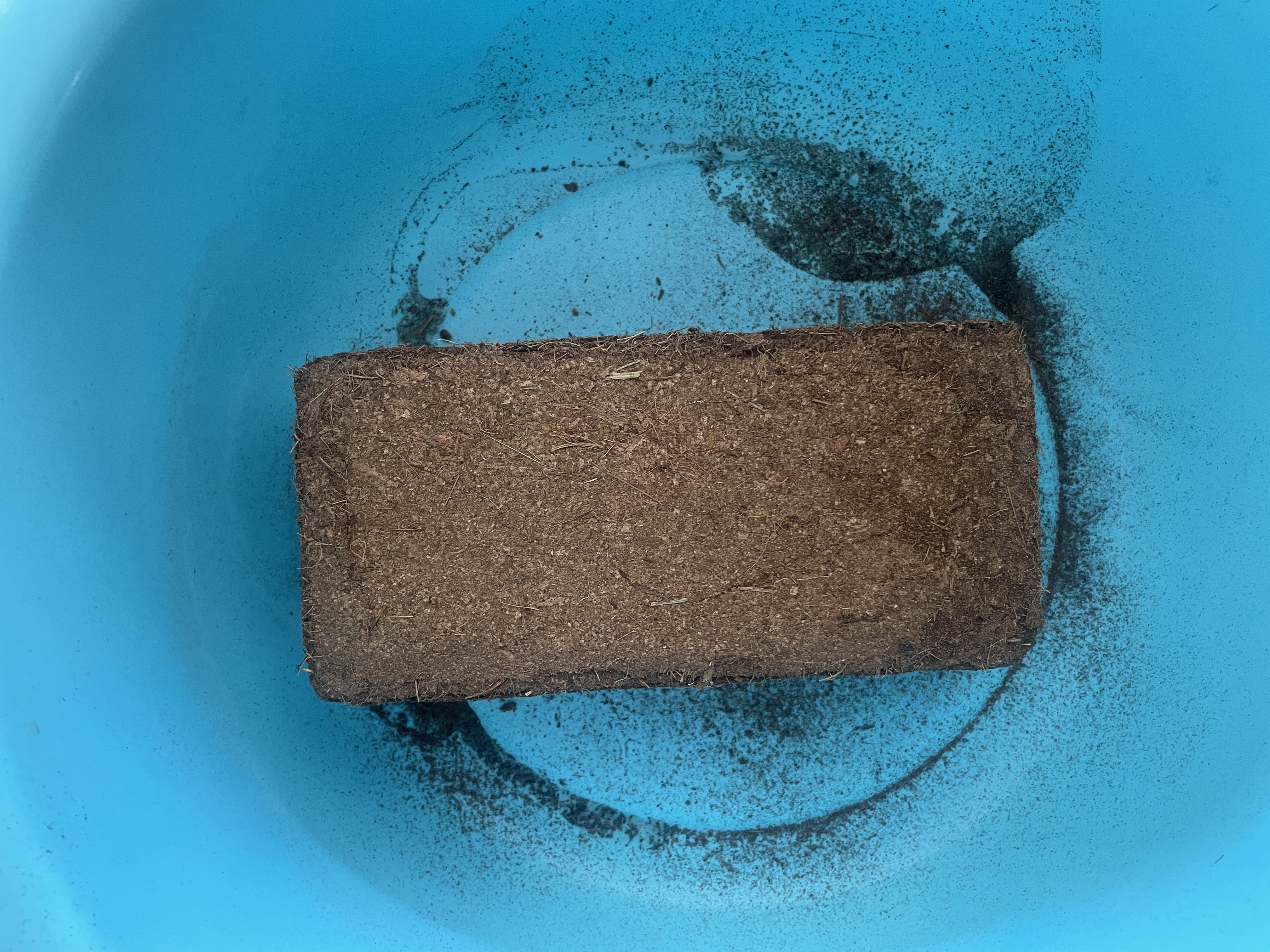 绿盼粗椰糠砖营养土大块脱盐种菜养花进口栽培基质多肉盆栽乌龟仓鼠 实拍图