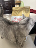 皇家猫粮 美短成猫粮 ASA31 通用粮 12月以上 4.5KG 实拍图