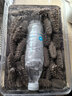参王朝 大连底播淡干海参干货辽刺参海鲜水产礼盒 7A 实惠装9年 250g*1盒 25-35头 实拍图