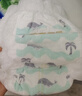 碧芭宝贝盛夏Pro拉拉裤XXL28片(≥15kg)学步裤 尿不湿 成长裤 超薄透气 实拍图