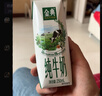 伊利【新鲜日期】金典纯牛奶早餐奶整箱250ml*16盒 3.6g乳蛋白 礼盒装 实拍图