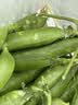 中鲜生 云南新鲜豌豆 甜豌豆新鲜蔬菜现摘豆角 净重1斤装【试吃装】鲜嫩饱满 实拍图
