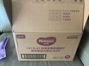 好奇（Huggies）金装拉拉裤XL35片(12-17kg)尿不湿【速干不易红】 实拍图