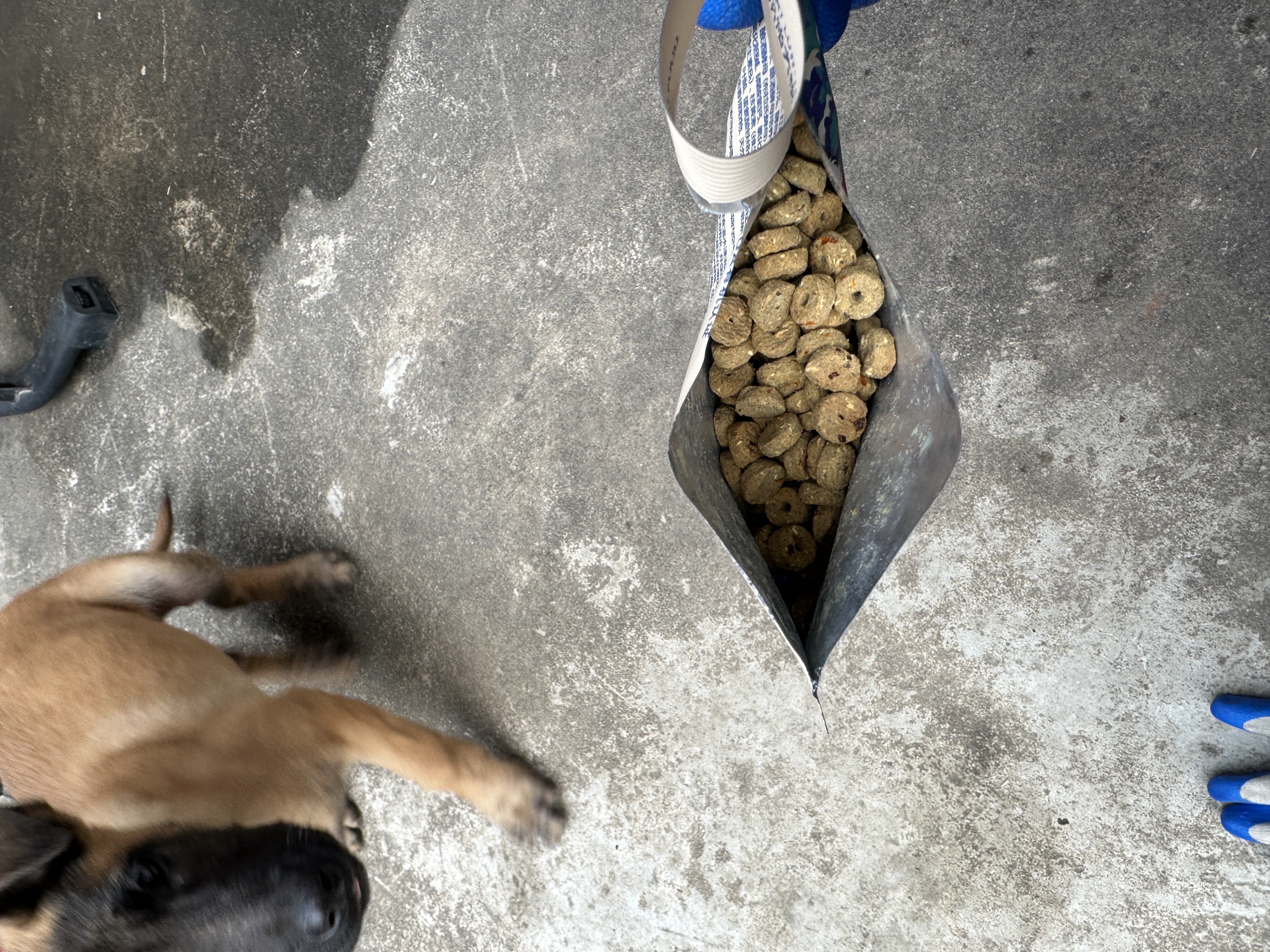 LEGENDSANDY蓝氏烘焙狗粮SSR中小型犬成犬幼犬粮鸡肉奇亚籽50g 实拍图