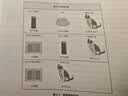 儿童科普百科全书之不可思议的世界未解之谜【7-12岁】彩绘注音版激发好奇心求知欲带领孩子探索鲜为人知的谜团（全10册） 实拍图