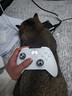 北通鲲鹏20无线游戏手柄AI智控双切扳机震动蓝牙手柄xbox布局电脑PC手机steam电视NSswitch2体感 仁王3 实拍图