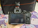 尼康（Nikon）Z50II/z50二代/z502入门级微单相机 尼康云创Vlog自拍高清旅游照相机Z50II套机/拆单机 Z50II 16-50/50-250双镜头套机 标配【送128G卡+包+座充 实拍图