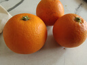 正宗广西桂林马水砂糖橘新鲜水果当季蜜桔桂林橘子贡柑整箱 带箱5斤 净重4.5斤 小果（30-40mm） 实拍图