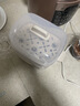 小熊（Bear）蒸蛋器 煮蛋器 家用多功能一体机 一键操作蒸鸡蛋羹神器 小型一人用 单双层一体机ZDQ-D12R3 实拍图