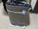 志高全自动洗衣机 大容量波轮洗脱一体机 蓝光洗护智能风干 宿舍租房家用小型洗衣机洗脱洗衣机 10KG【洗烘一体 玻璃盖板 蓝光洗护】 波轮 实拍图