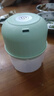 绞肉机小型打蒜器家用绞蒜切蒜器多功能辅食料理机电动蒜泥神器蒜蓉机自动切菜机压蒜器 浅绿色- 0.26L （升级大电机） 实拍图