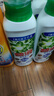 碧浪除菌洗衣原液雨后初晴1.6斤瓶装 1次去黄 7天抑味 【刘宇宁心选】 实拍图