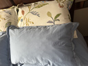 洁丽雅（Grace）纯棉A类枕头枕芯星级酒店羽丝绒枕芯可水洗枕 纤维软枕芯 一对装 实拍图
