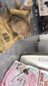 皇家幼猫奶糕 幼猫猫粮 BK34 通用粮 1-4月 10KG 实拍图