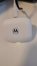 摩托罗拉（Motorola）moto buds 真无线入耳式蓝牙耳机 AI动态主动降噪 音乐耳机 游戏耳机 蓝牙5.3 天水碧 实拍图