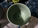陶瓷花盆绿植盆栽亚光北欧风简约花盆大号桌面绿植盆送塑料托盘 绿色 大号（16.5*16.5*14） 实拍图