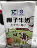 太好喝！天太栀子牛奶250ml 早餐奶儿童生牛乳奶茶 新鲜礼盒送礼 栀子牛奶24盒整箱 实拍图
