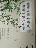总有人间一两风 填我十万八千梦 华语文坛18位文学名家写给当代年轻人的治愈之书以及对生活的乐观豁达 实拍图