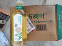 农夫山泉东方树叶茉莉花茶900ml*12瓶无糖茶饮料0糖0脂0卡整箱装 实拍图