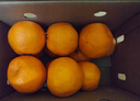 【整箱】爱媛果冻橙约2.5kg（称重退差） 实拍图