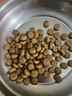 皇家狗粮 成犬粮 通用犬型 CC通用狗粮12月以上 3KG【成犬通用】 实拍图