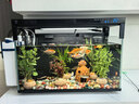 米家小米米家智能生态鱼缸还原自然生态补仓一次三月无忧出差旅行必备 实拍图