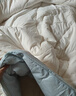 水星家纺被子冬被60%大豆被纤维被冬季被子加厚保暖被芯150x210cm约5.7斤 实拍图