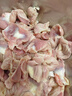 正大食品（CP）鸡胗2斤 生鲜冷冻鸡肫卤煮孜然鸡胗烧烤炒菜麻辣小郡肝 实拍图