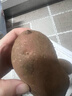 【真便宜】云南红皮土豆高原黄心土豆马铃薯红皮黄心洋芋减脂蔬菜 净重3斤大果 【单果150g+】 实拍图