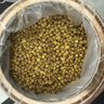 艺佰四川大凉山黄苦荞茶泡水喝的荞麦茶苦介茶260克 实拍图
