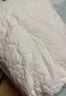 洁丽雅（Grace）A类大豆夹棉床笠单件加厚床罩防尘罩床垫保护套 无染米白 1.5米 实拍图