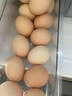 京鲜生富硒鲜鸡蛋30枚 3斤 源头直发 实拍图