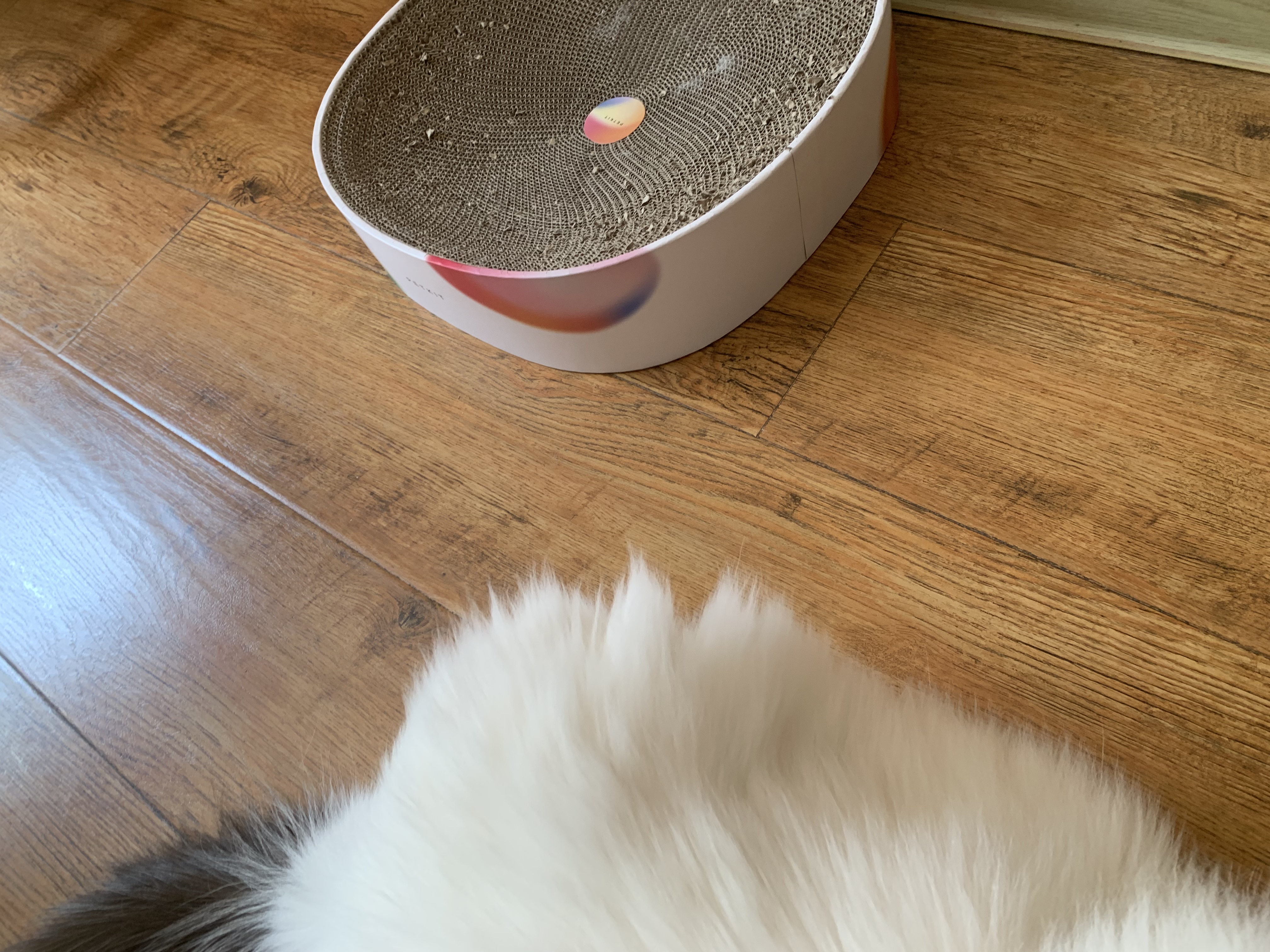 小佩方形猫抓板窝 磨爪器瓦楞纸 猫抓板猫窝一体窝垫猫爪板猫咪玩具 梦幻极光-尺寸：40x40x10cm 实拍图
