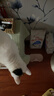 皇家室内成猫粮 I27 通用粮 12月以上 2KG 实拍图