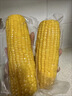 方家铺子水果玉米3.52斤[220*8]甜玉米棒 真空袋开袋即食速食早餐杂粮粗粮 实拍图