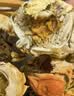 【活蟹】阳澄佳缘大闸蟹 现货鲜活大螃蟹公母蟹 海鲜水产生鲜礼盒 公4.0-4.3两母3.0-3.3两4对8只 实拍图