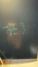 PBJ超薄细笔迹液晶手写板不扩散办公教育草稿写字板学生画板电子笔记本全面手绘板小黑板可扫描留言板 【热销充电款】12英寸-黑-细笔迹 实拍图