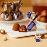 诺梵金松露夹心巧克力开心果巧克力休闲零食礼物送女友伴手礼糖果 【精美礼盒装】金松露255g 实拍图