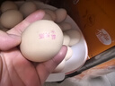 温氏供港DHA鲜鸡蛋30枚/3斤/礼盒装 儿童孕妇 优质高营养 送礼佳品 实拍图