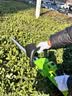 绿林（GREENER）无刷数显锂电动绿篱机修剪机绿化带修枝剪园林绿化剪双刃5.0AH1电 实拍图