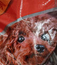 朗亲狗粮10斤泰迪比熊金毛萨摩耶成犬专用小中大型犬通用型狗干粮5kg 实拍图