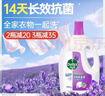 滴露（Dettol）衣物除菌液薰衣草3L 99.9%杀菌除螨 内衣衣物消毒液 可配洗衣液 实拍图