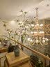 京东鲜花仿真绿植石榴枝2支乔迁客厅装饰插花仿生植物花艺高级感摆件 实拍图
