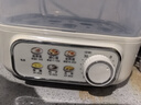 美的（Midea）煮蛋器蒸蛋器 双层家用迷你小蒸锅 早餐 鸡蛋羹自动断电防干烧便携式家用MZ-ZDE2015 实拍图